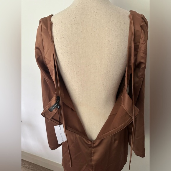 Dynamite NWT brown satin silk look mini bodycon dress size Medium - Picture 8 of 10